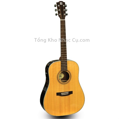 Đàn Guitar Acoustic Ayers DSRL